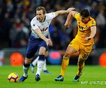 乐动体育-热刺后防核心强大，成为球队稳定力量的简单介绍